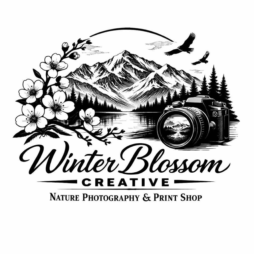Winter Blossom Creative